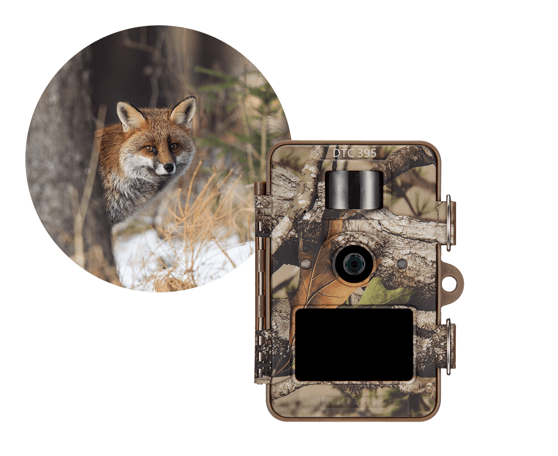 Home - Camera-chasse