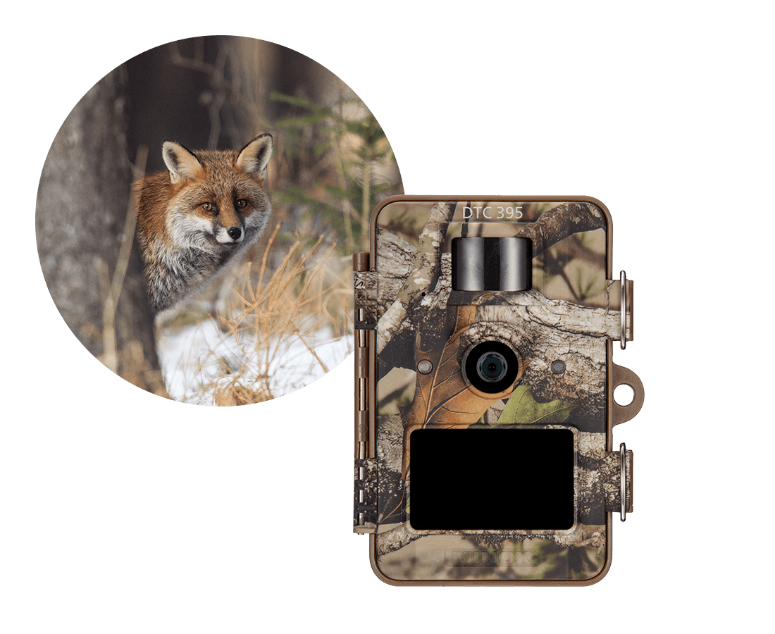 MINOX Trail Camera DTC 395 – Lakeland Shooting Centre
